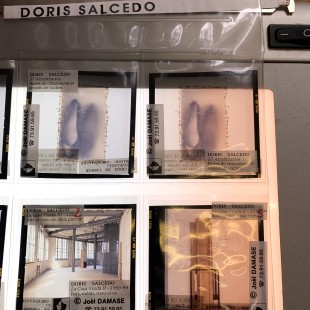 Visuel Salcedo_310x310