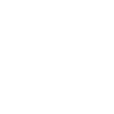 logo Opéra de Saint-Etienne