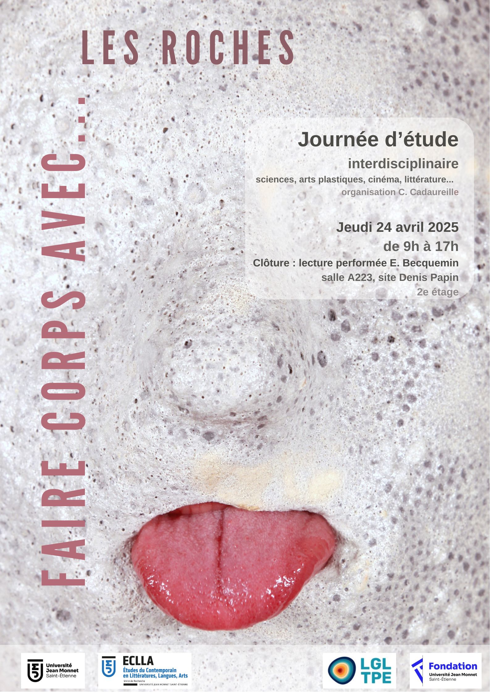 affiche de l'évènement montrant une roche qui tire la langue